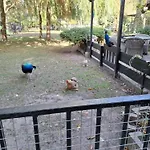 De Vrijheid En De Ruimte In 펜션 스틴버켄