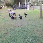 De Vrijheid En De Ruimte In 펜션 스틴버켄