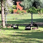 De Vrijheid En De Ruimte In Dom wakacyjny *