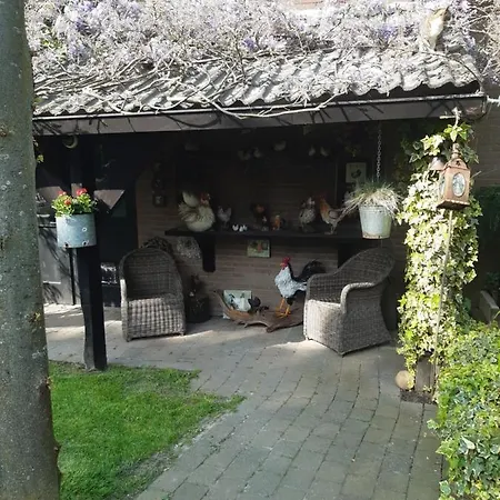 De Vrijheid En De Ruimte In Steenbergen *