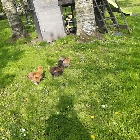 度假居 De Vrijheid En De Ruimte In Steenbergen