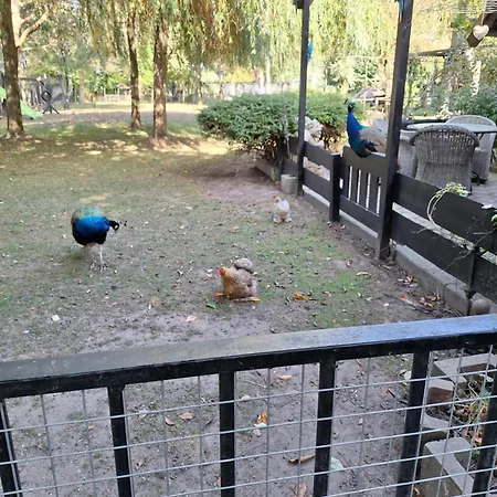 De Vrijheid En De Ruimte In Ferienhaus Steenbergen (North Brabant)