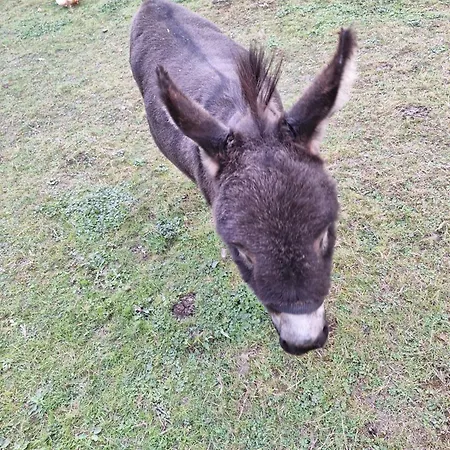 De Vrijheid En De Ruimte In 度假居 Steenbergen