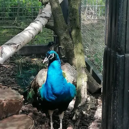 De Vrijheid En De Ruimte In Prázdninový dům *