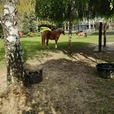 De Vrijheid En De Ruimte In Steenbergen Holiday home *