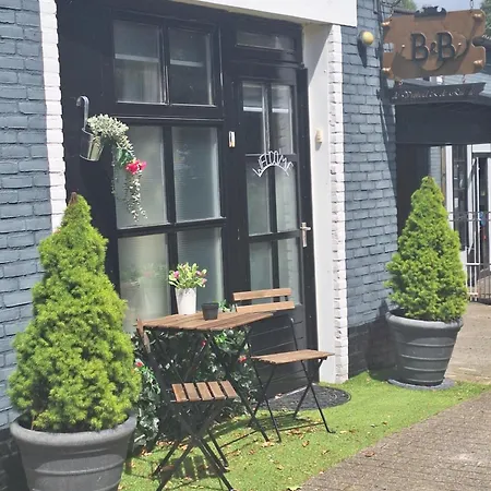 De Vrijheid En De Ruimte In Steenbergen *