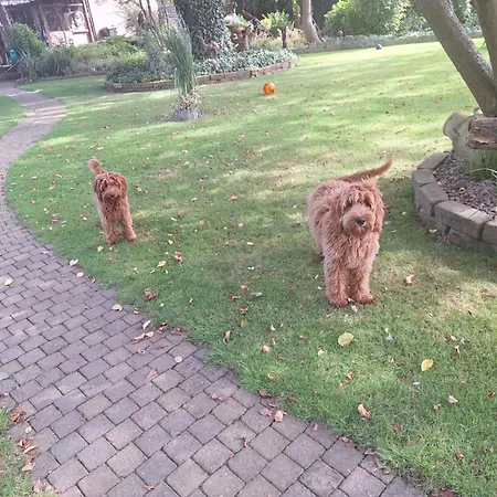 De Vrijheid En De Ruimte In * Steenbergen