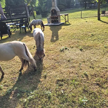 De Vrijheid En De Ruimte In Σπίτι διακοπών