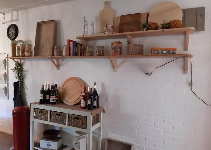 De Vrijheid En De Ruimte In *