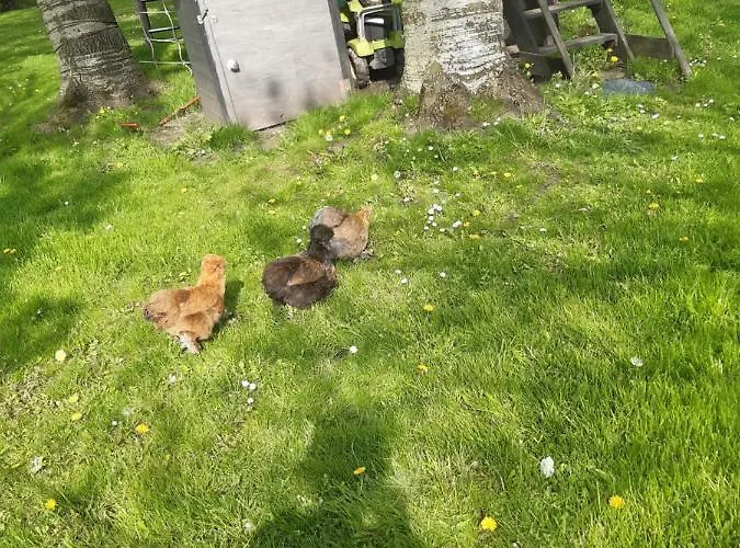 Hébergement de vacances De Vrijheid En De Ruimte In Steenbergen (North Brabant)
