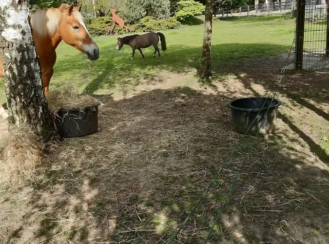 Σπίτι διακοπών De Vrijheid En De Ruimte In Steenbergen (North Brabant)