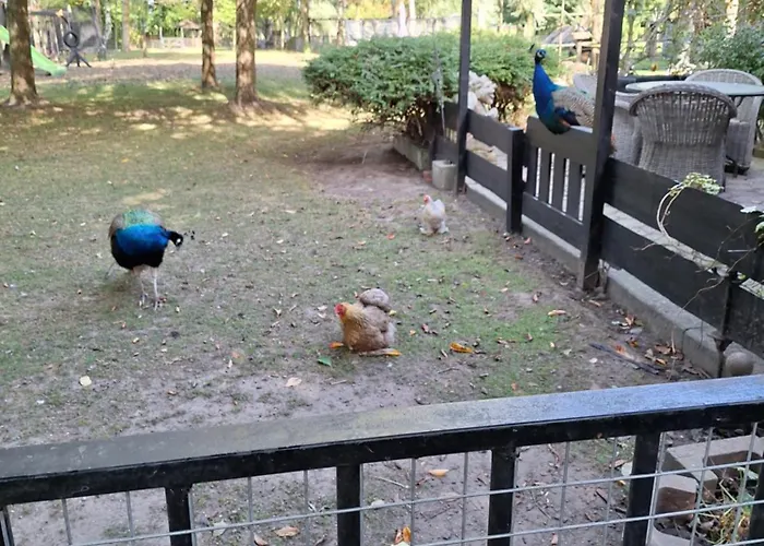 De Vrijheid En De Ruimte In Σπίτι διακοπών Steenbergen (North Brabant)