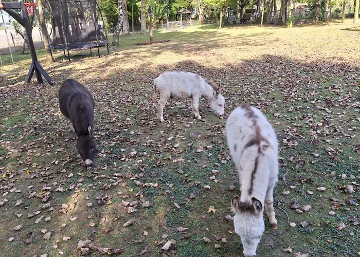 De Vrijheid En De Ruimte In