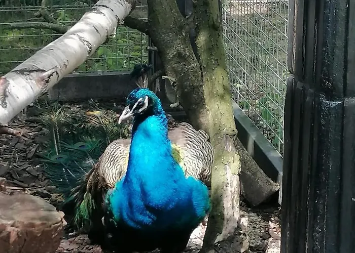 De Vrijheid En De Ruimte In Hébergement de vacances *