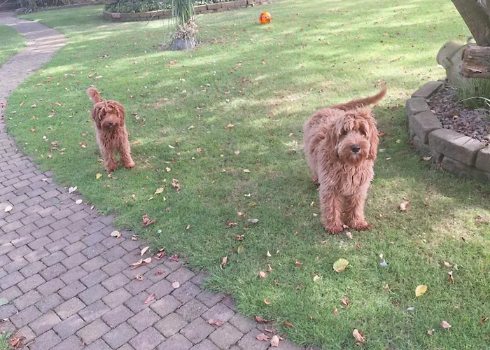 De Vrijheid En De Ruimte In * Steenbergen (North Brabant)