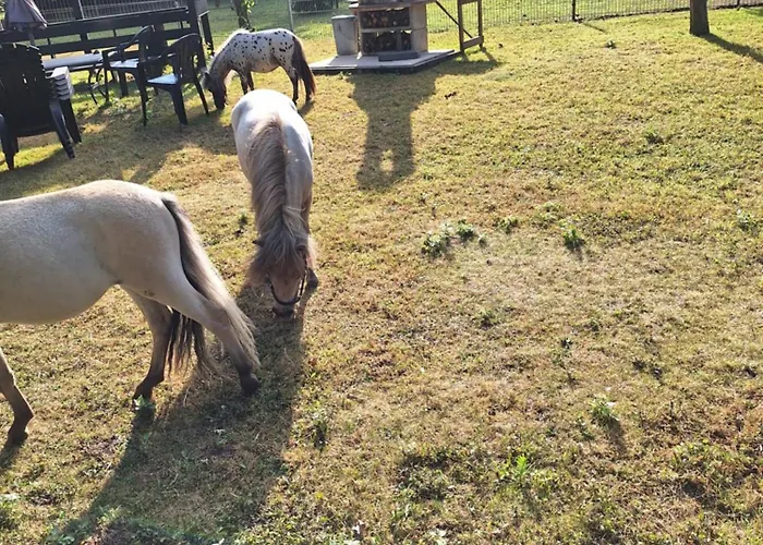 De Vrijheid En De Ruimte In Σπίτι διακοπών