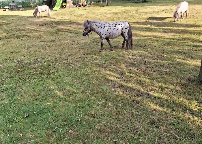 Σπίτι διακοπών De Vrijheid En De Ruimte In