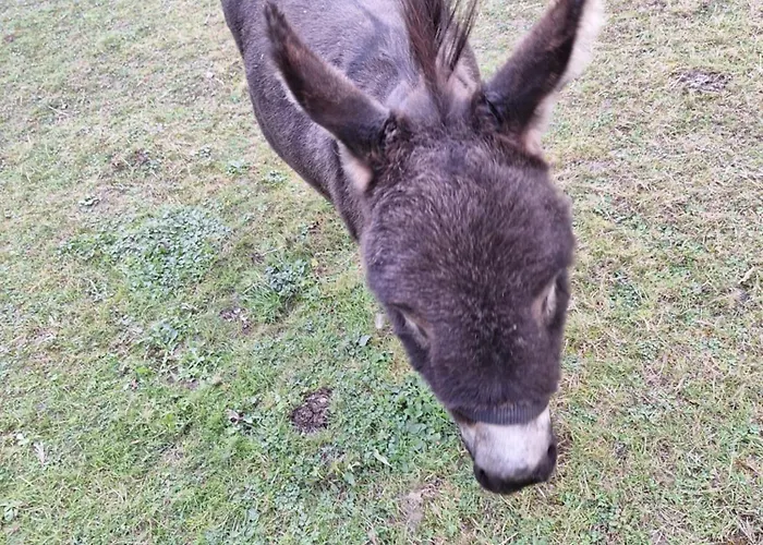 De Vrijheid En De Ruimte In בית נופש Steenbergen (North Brabant)