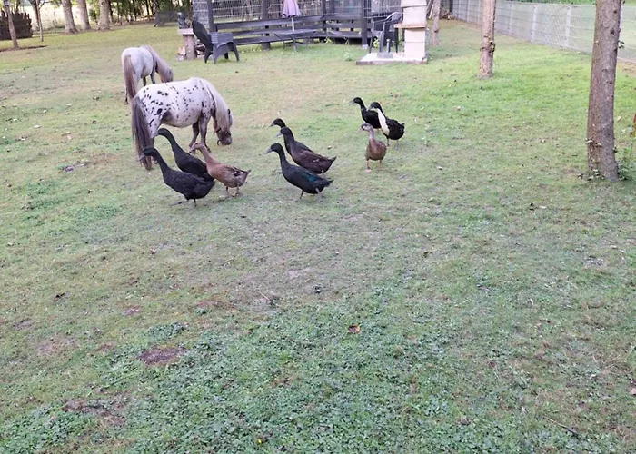 De Vrijheid En De Ruimte In בית נופש Steenbergen (North Brabant)